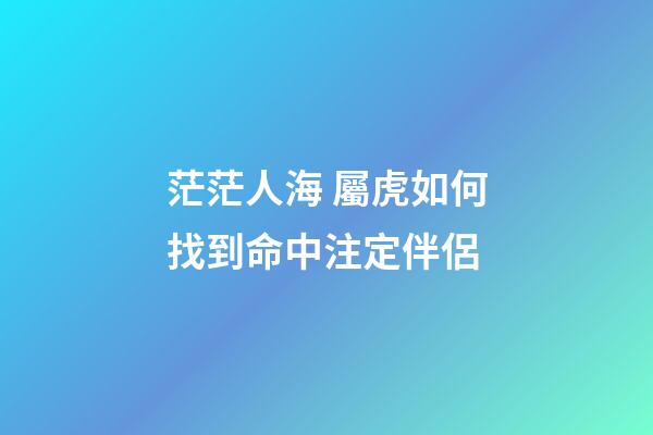 茫茫人海 屬虎如何找到命中注定伴侶
